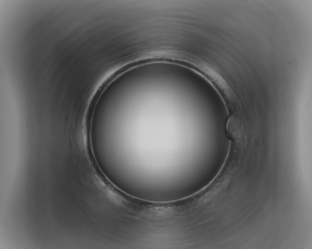 X0000110720888200906121426