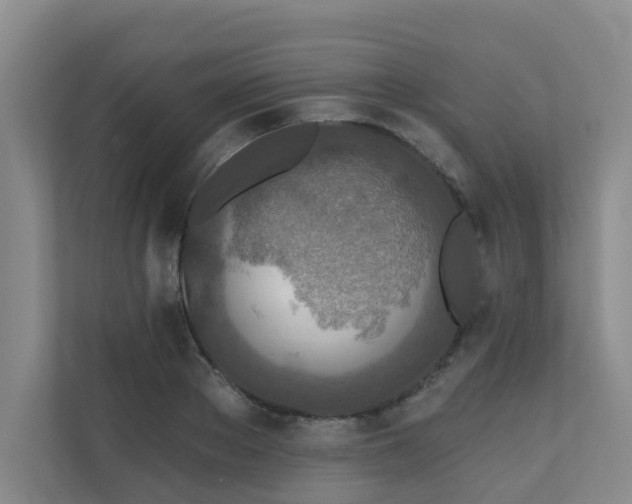 X0000110720889200906121426