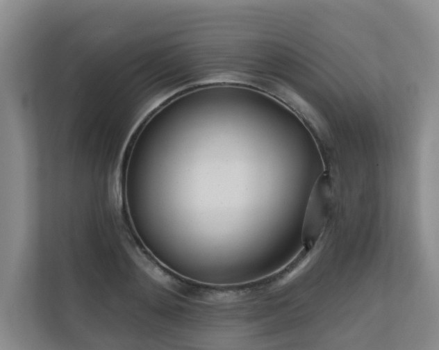 X0000110720892200906121426