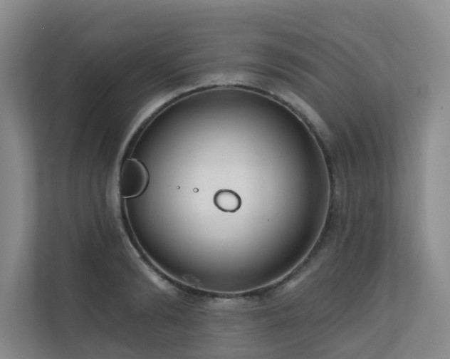 X0000110720894200906121426