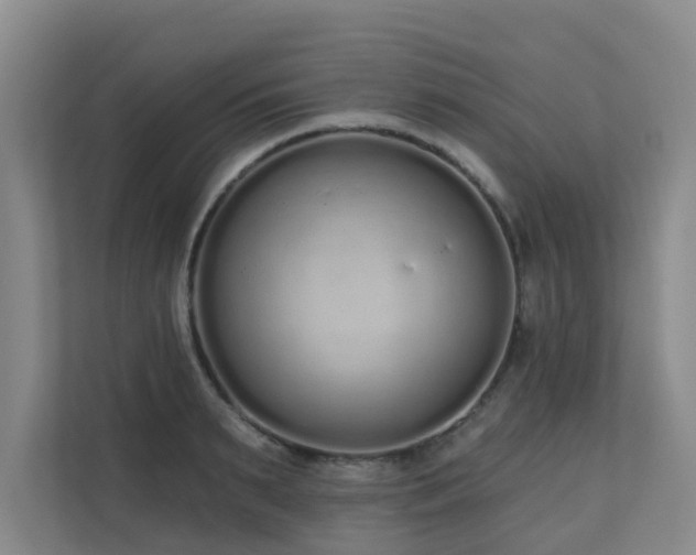 X0000110720895200906121426