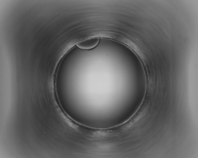 X0000110720898200906121425