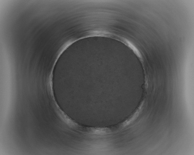 X0000110720899200906121425