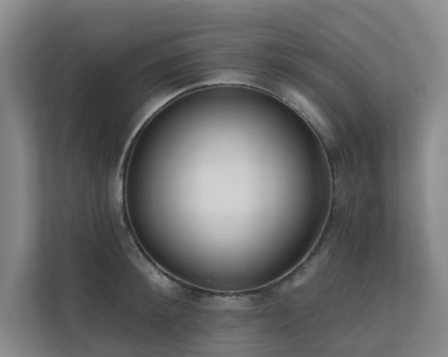 X0000110720900200906121425