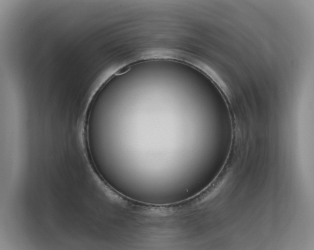 X0000110720901200906121425