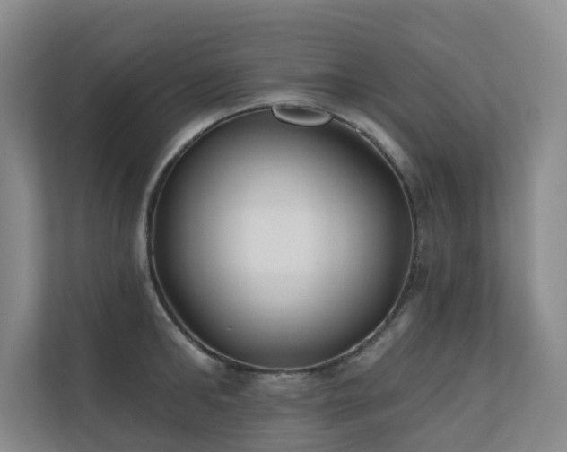 X0000110720902200906121425