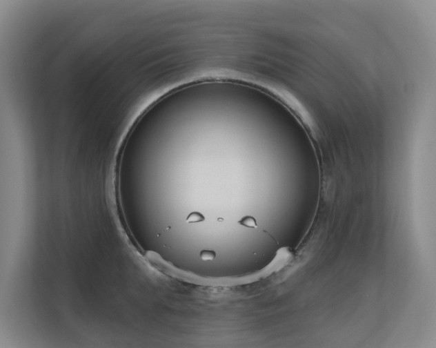 X0000110720903200906121425