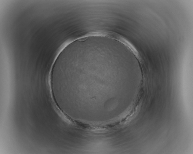 X0000110720907200906121425
