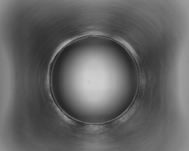 X0000110720910200906121425