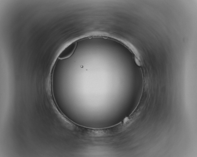 X0000110720911200906121425
