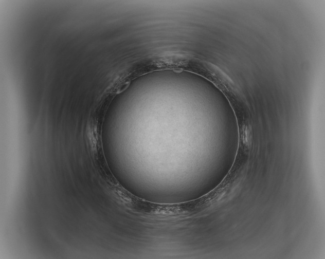 X0000110720915200906121425