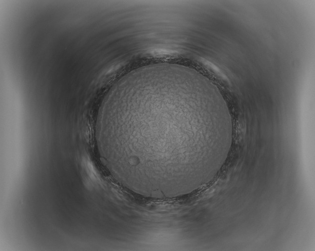 X0000110720917200906121425