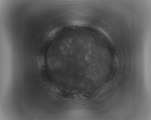 X0000110720918200906121425