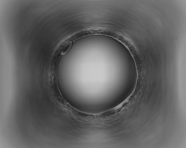 X0000110720920200906121425