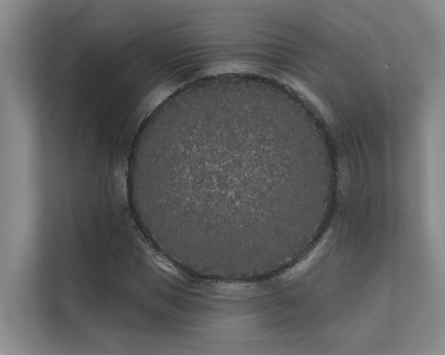 X0000110720921200906121425