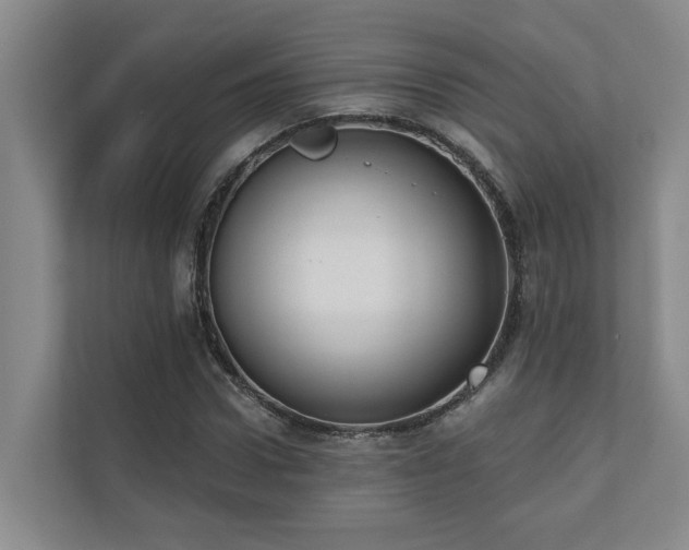 X0000110720922200906121425
