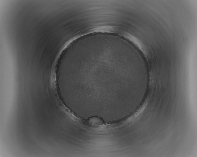 X0000110720923200906121425