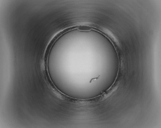 X0000110720924200906121425
