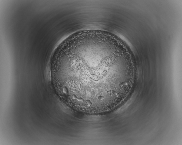 X0000110720925200906121425