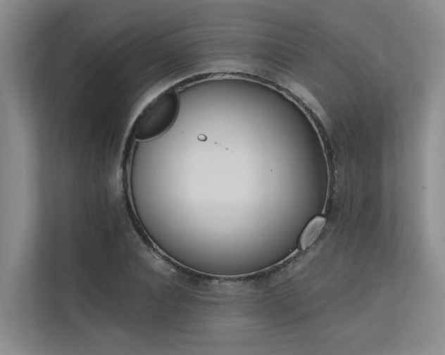 X0000110720928200906121425