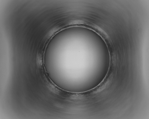 X0000110720929200906121425