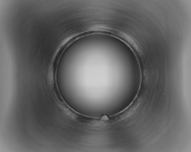 X0000110720931200906121425