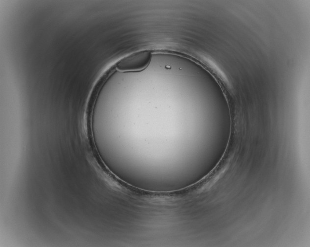 X0000110720932200906121425