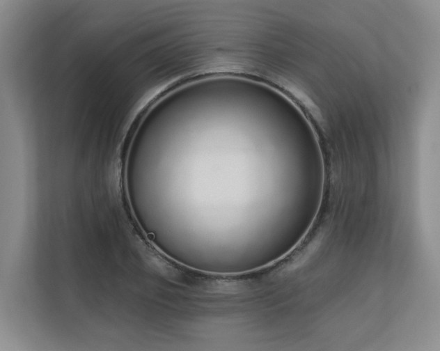 X0000110720933200906121425
