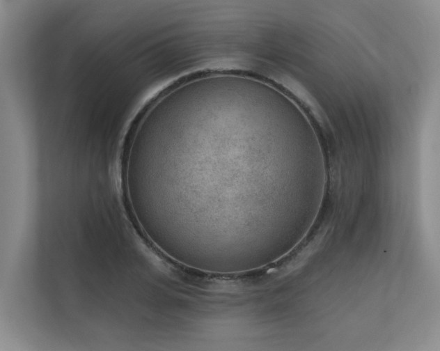 X0000110720935200906121425