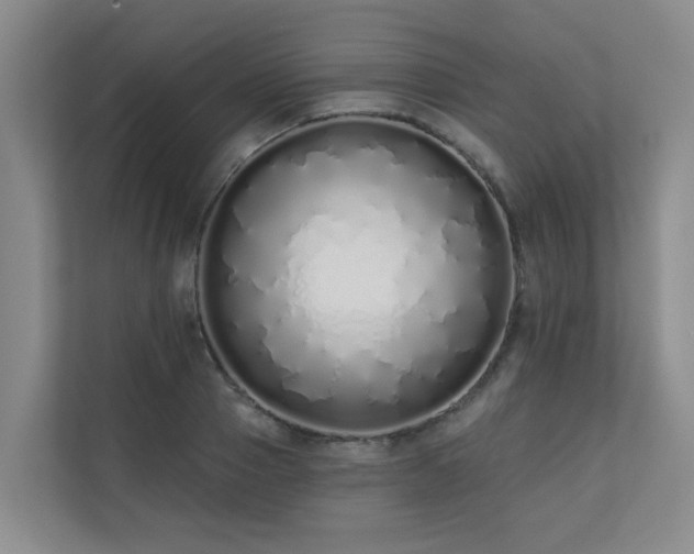 X0000110720937200906121425