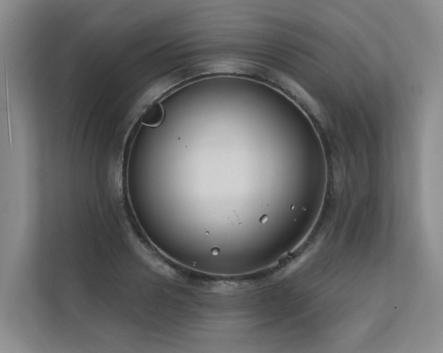 X0000110720938200906121425