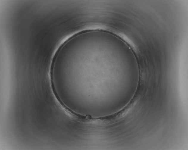 X0000110720943200906121425