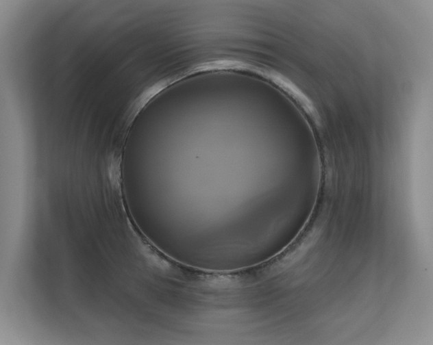 X0000110720945200906121425