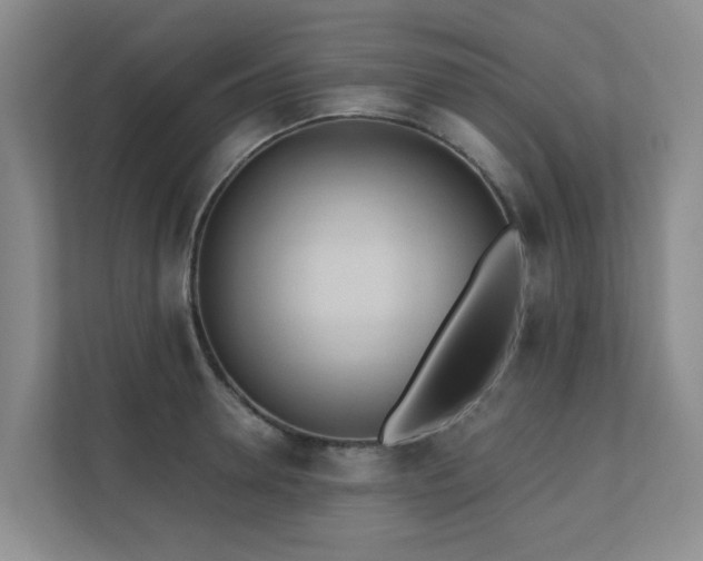 X0000110720946200906121425