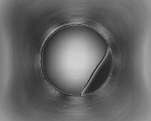 X0000110720948200906121425