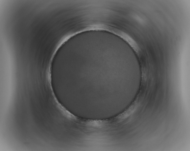X0000110720950200906121425