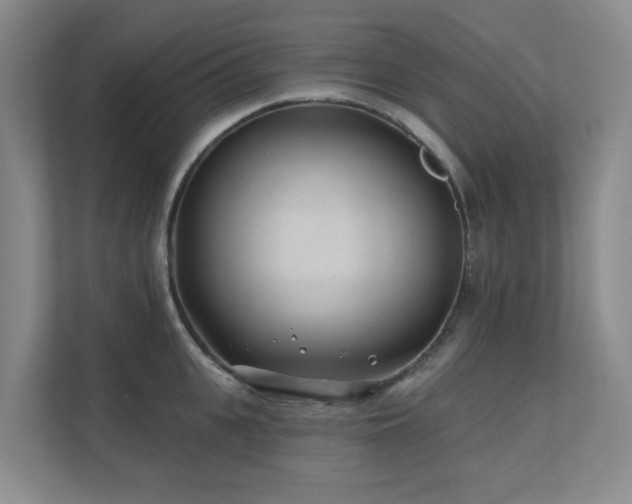 X0000110720951200906121425