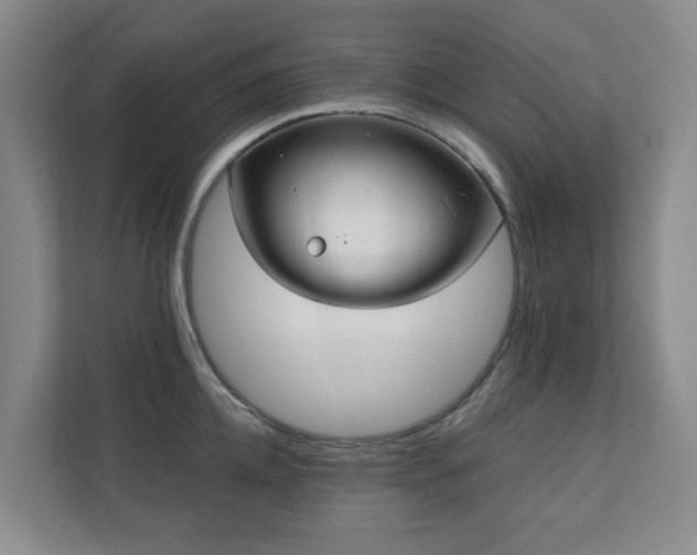 X0000110720952200906121425