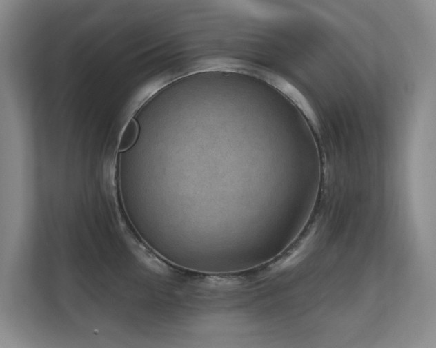 X0000110720954200906121425