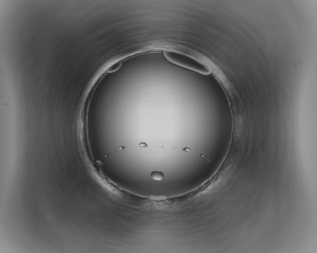 X0000110720955200906121425