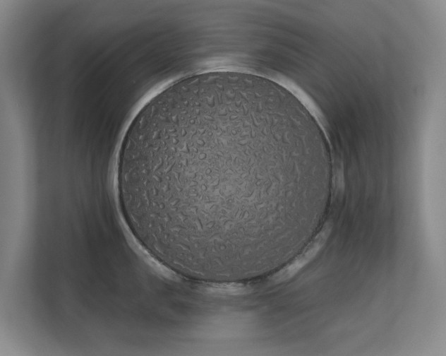 X0000110720957200906121425