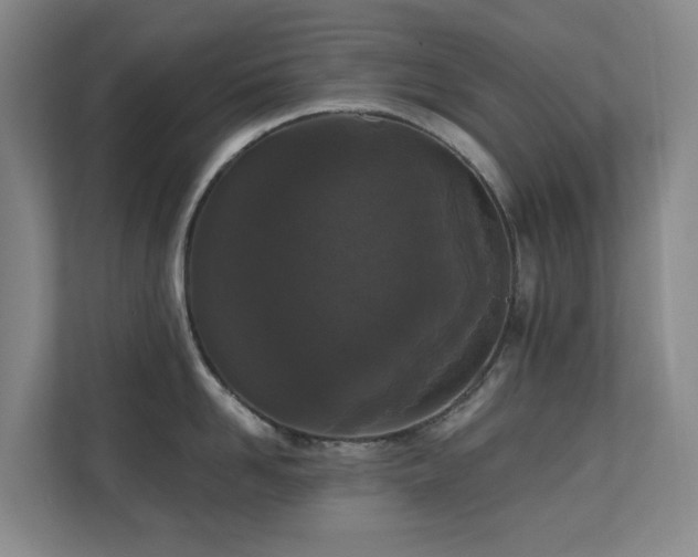 X0000110720958200906121425