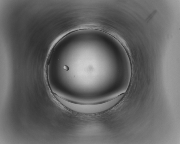 X0000110720960200906121425