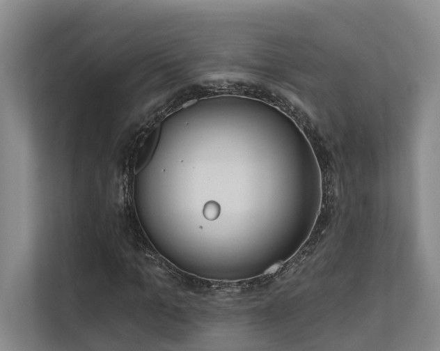 X0000110720965200906121425