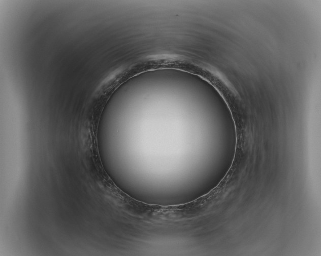 X0000110720967200906121425