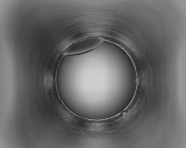 X0000110720969200906121425