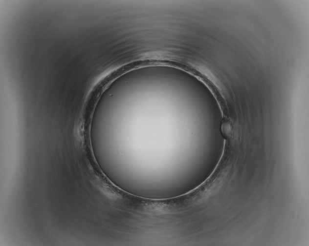 X0000110720971200906121425