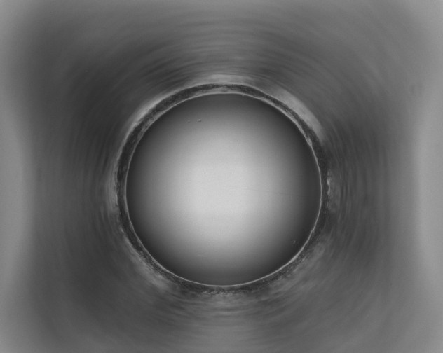 X0000110720972200906121425