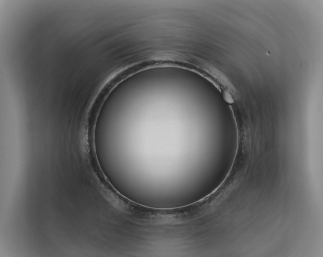 X0000110720976200906121424