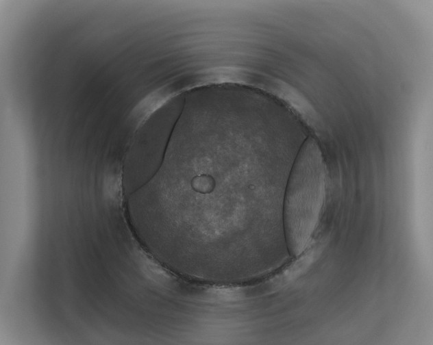 X0000110720977200906121424